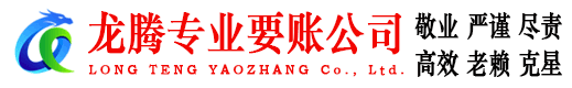 海丰清债公司